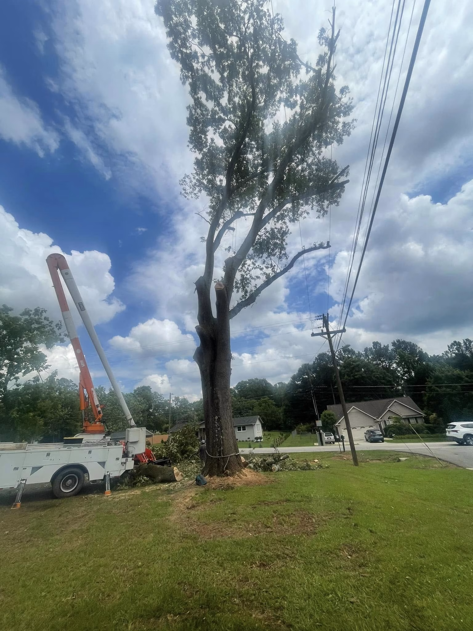 Tree Cutting Service in Cherry Grove SC