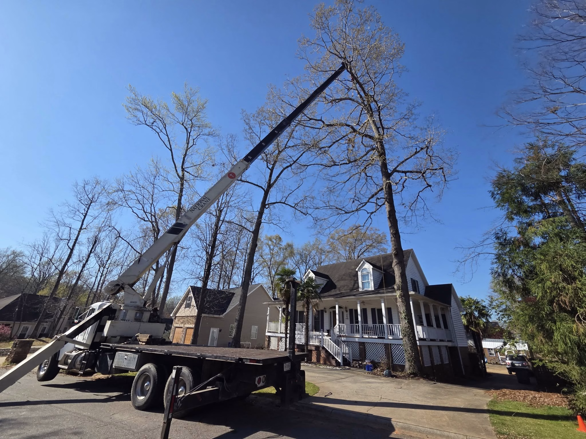 Tree Service in Atlantic Beach SC